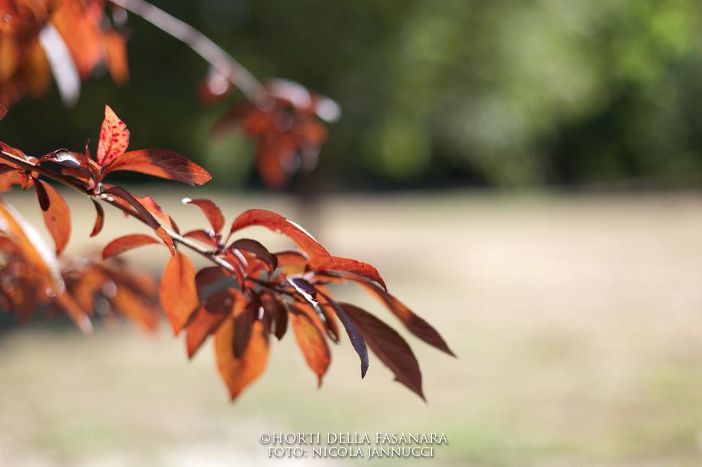 Horti Della Fasanara Guest House Ferrara Exterior foto